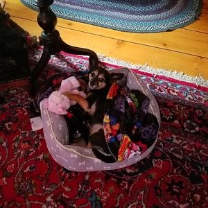 Meet your Posher, Marylyn